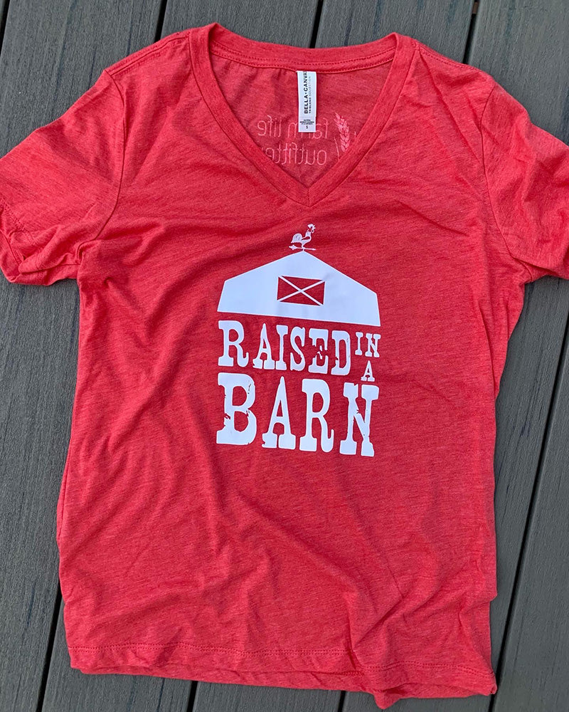 Raised in a Barn T-Shirt - Women's sizes